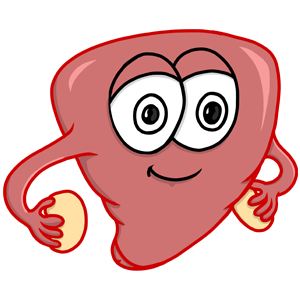 A uterus 'standing' proud